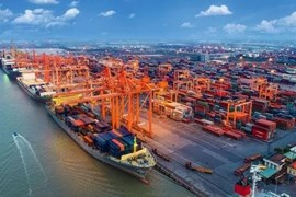 Siêu cảng 50.000 tỷ đồng sắp lộ diện tại Việt Nam
