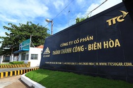 Thành Thành Công - Biên Hòa dự kiến chào bán hơn 148 triệu cổ phiếu cho cổ đông hiện hữu