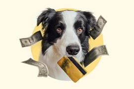 Người Mỹ sẵn sàng chi hàng trăm triệu đồng cho thú cưng mỗi năm