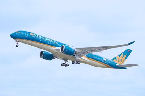 Cổ phiếu HVN của Vietnam Airlines bất ngờ 'tím' sau thông tin có thể 'thoát hiểm' nhờ luật mới