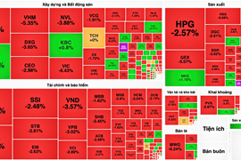 VN-Index tiếp tục cho nhà đầu tư 'đi tàu lượn', rơi hơn 24 điểm trong phiên 17/11