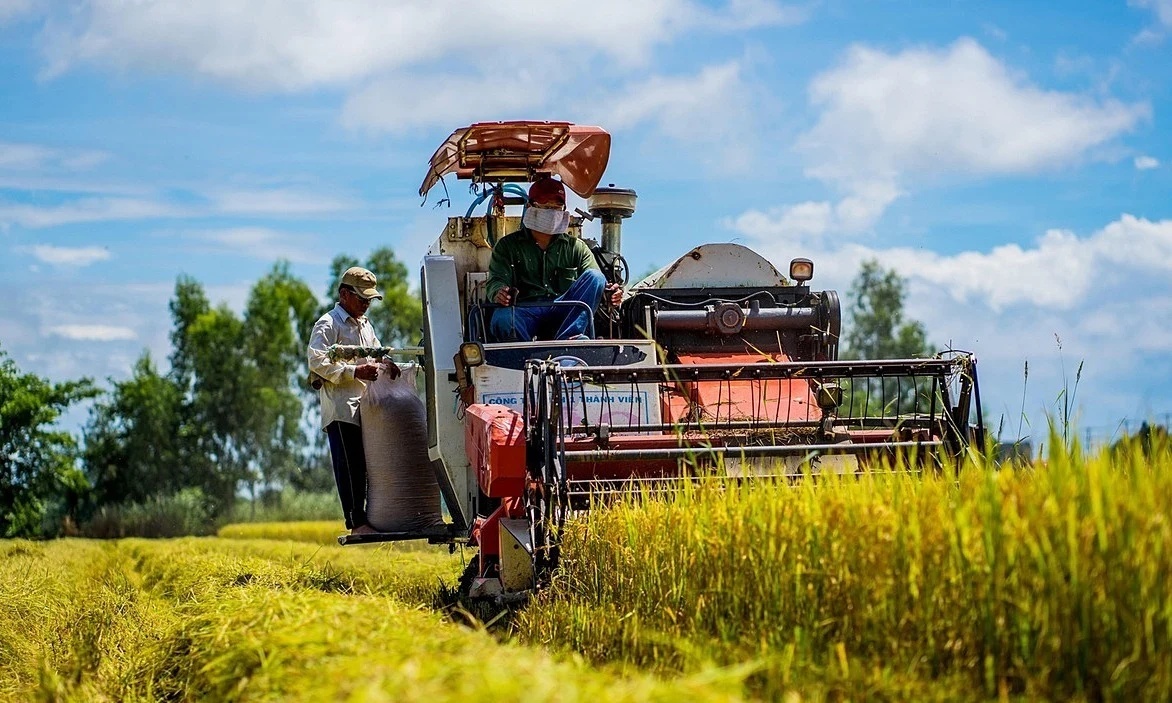 Lãi ròng của Gạo Trung An tăng gấp 6 lần nhưng cổ phiếu TAR vẫn rơi kịch biên độ