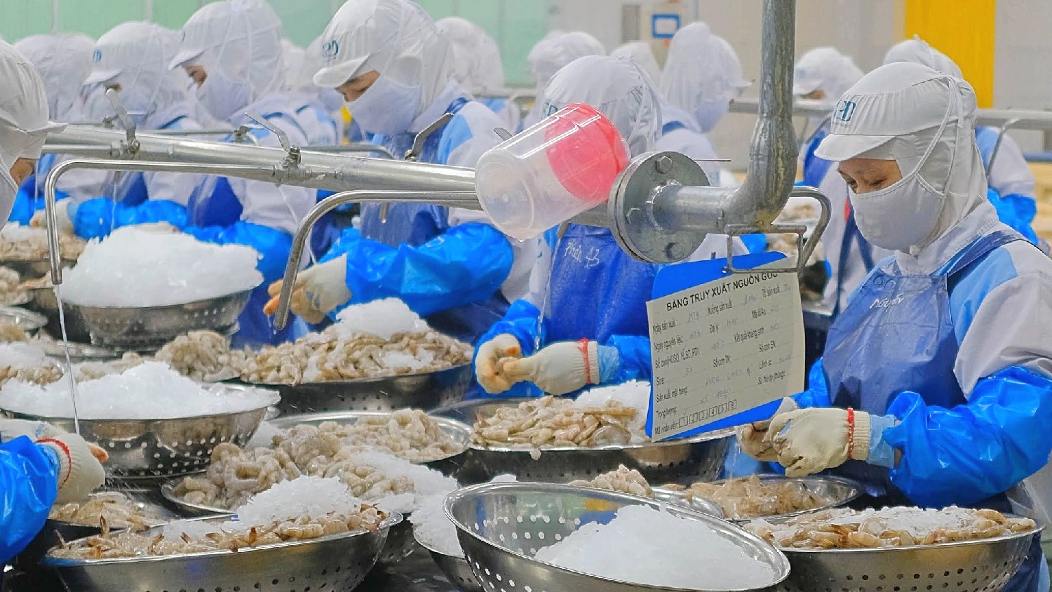 Thực phẩm Sao Ta FMC : Xuất khẩu tôm sẽ bứt phá trong quý 4/2023