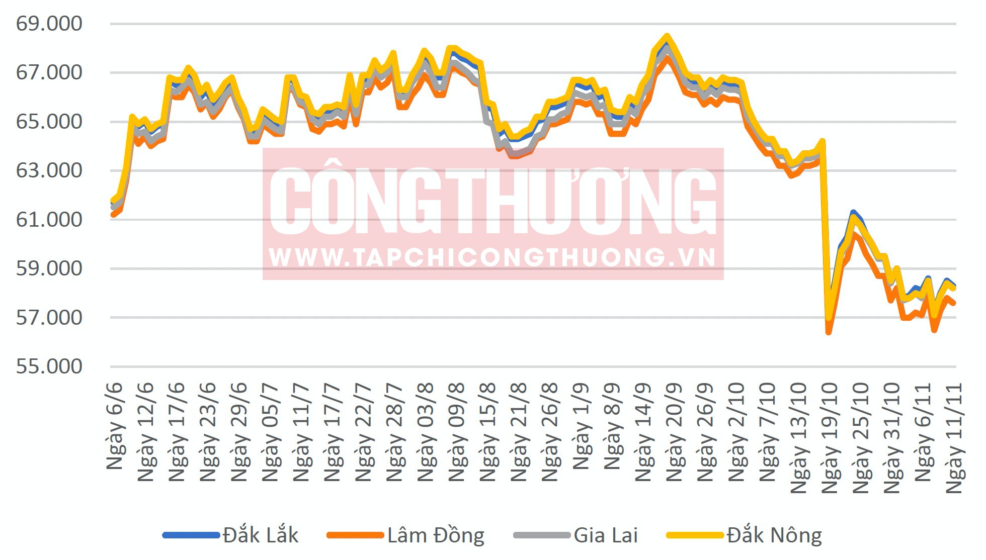 Giá cà phê hôm nay 11/11: Dự kiến giá sẽ ổn định đến giữa năm 2024 2