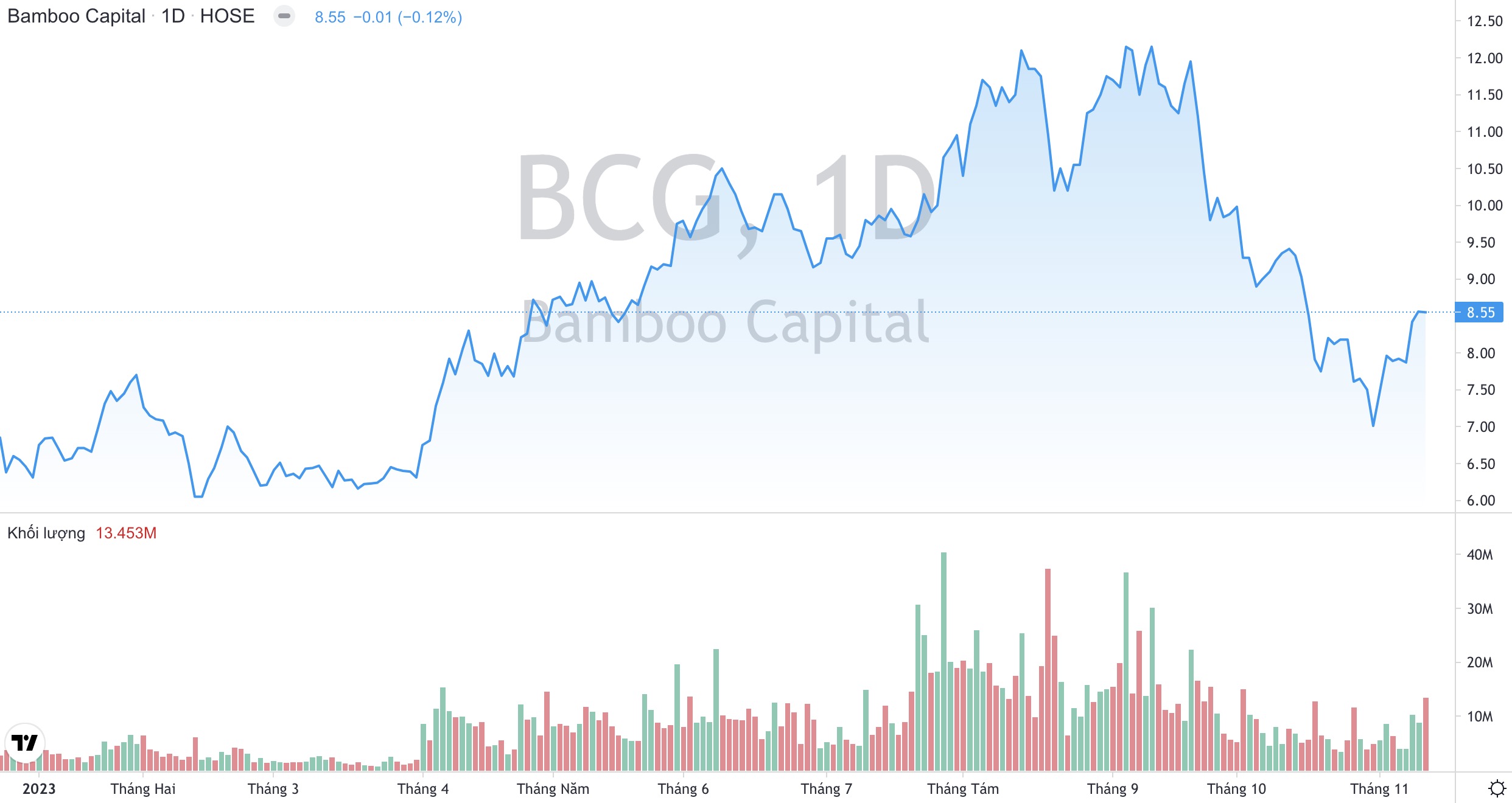 Lãnh đạo Bamboo Capital BCG thoái vốn thành công, gia tăng đầu tư vào BCG Energy