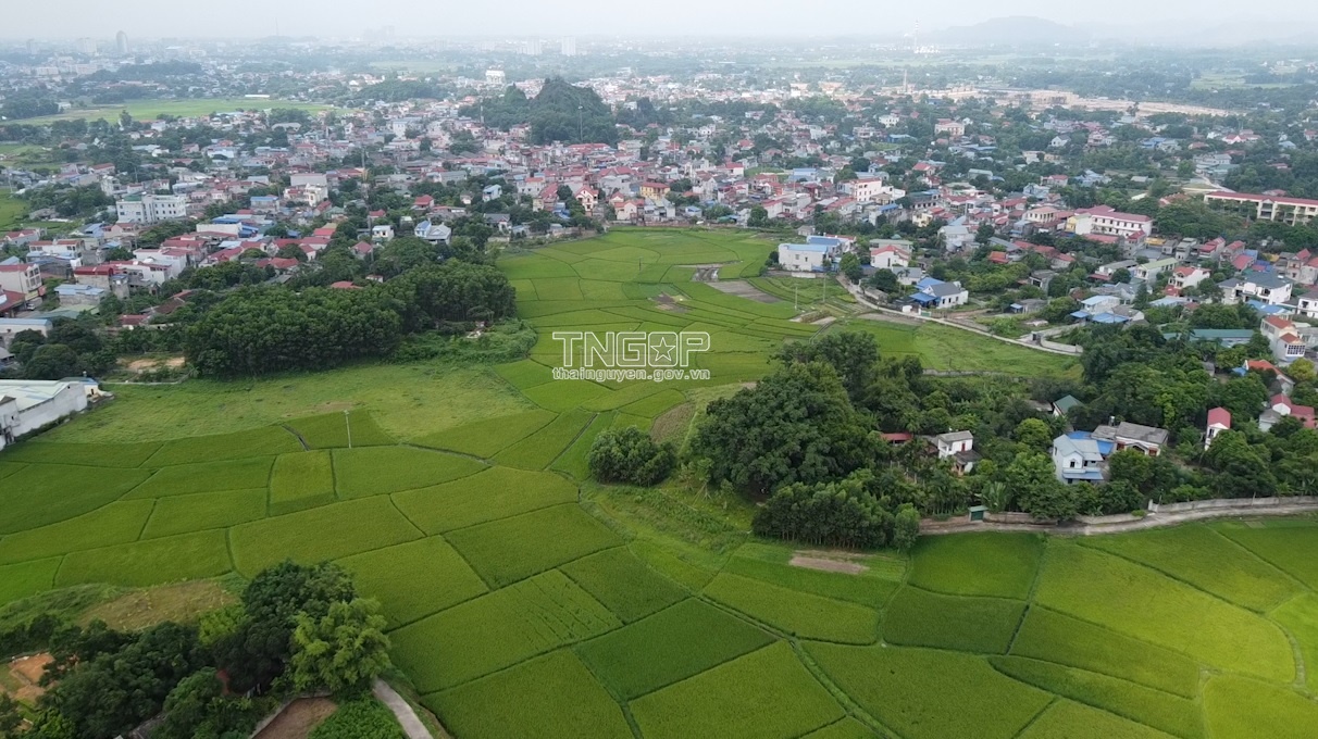 Thái Nguyên chuẩn bị có khu đô thị rộng 15,7ha tại Huyện Đồng Hỷ