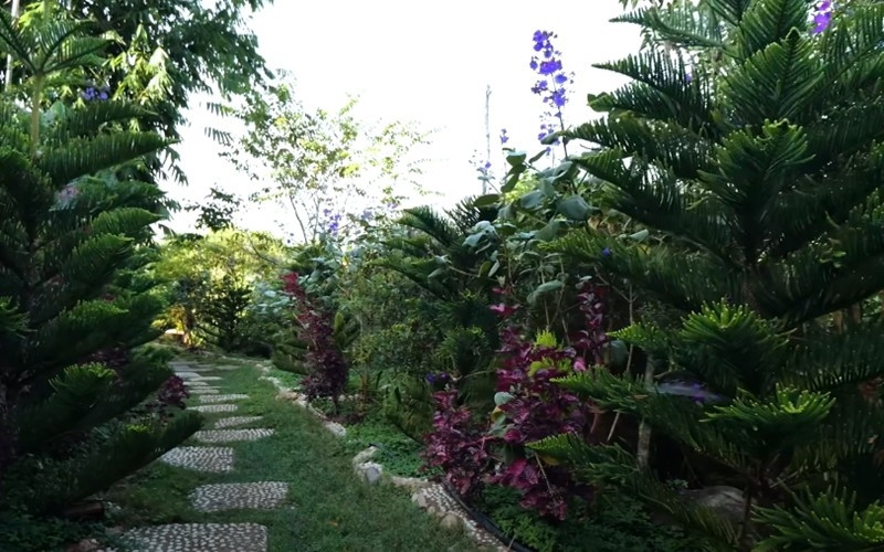 Cháu trai gia tộc giàu có bậc nhất Sài Gòn khoe nhà mới chuẩn quý tộc, vườn hoa tự trồng chứa cả một dòng suối 21