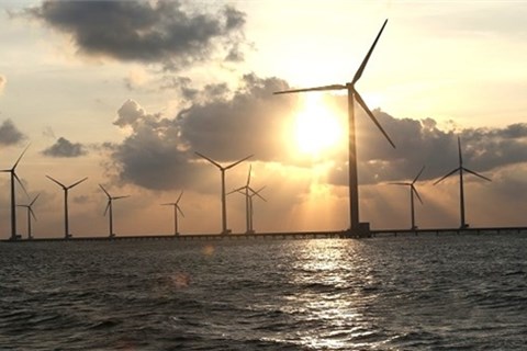 Vì sao Orsted dừng phát triển điện gió tại Việt Nam?
