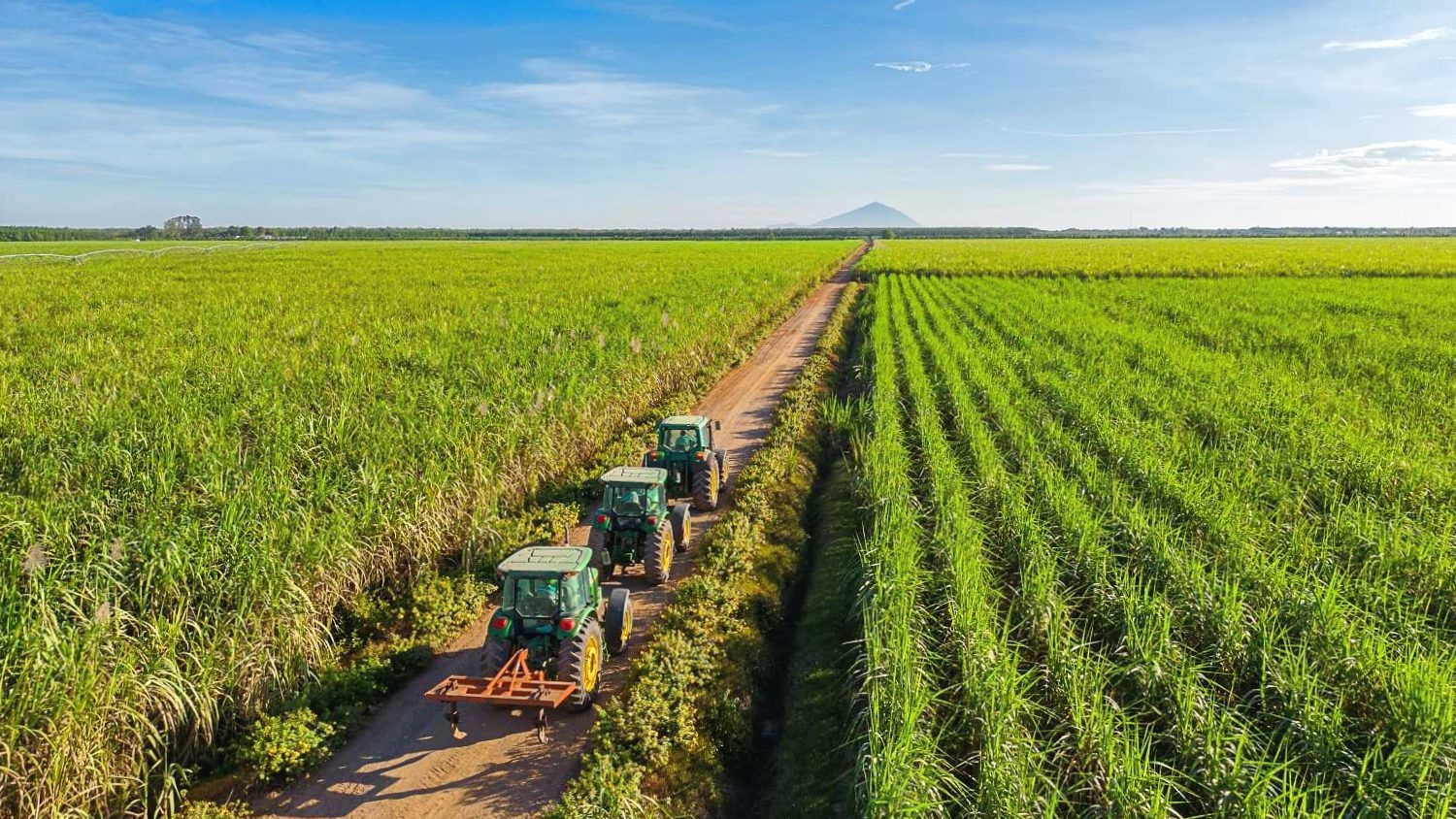 TTC AgriS SBT : Huy động 500 tỷ đồng trái phiếu nhằm mở rộng thị phần nội địa