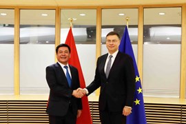 Việt Nam và EU cùng tận dụng tốt Hiệp định EVFTA