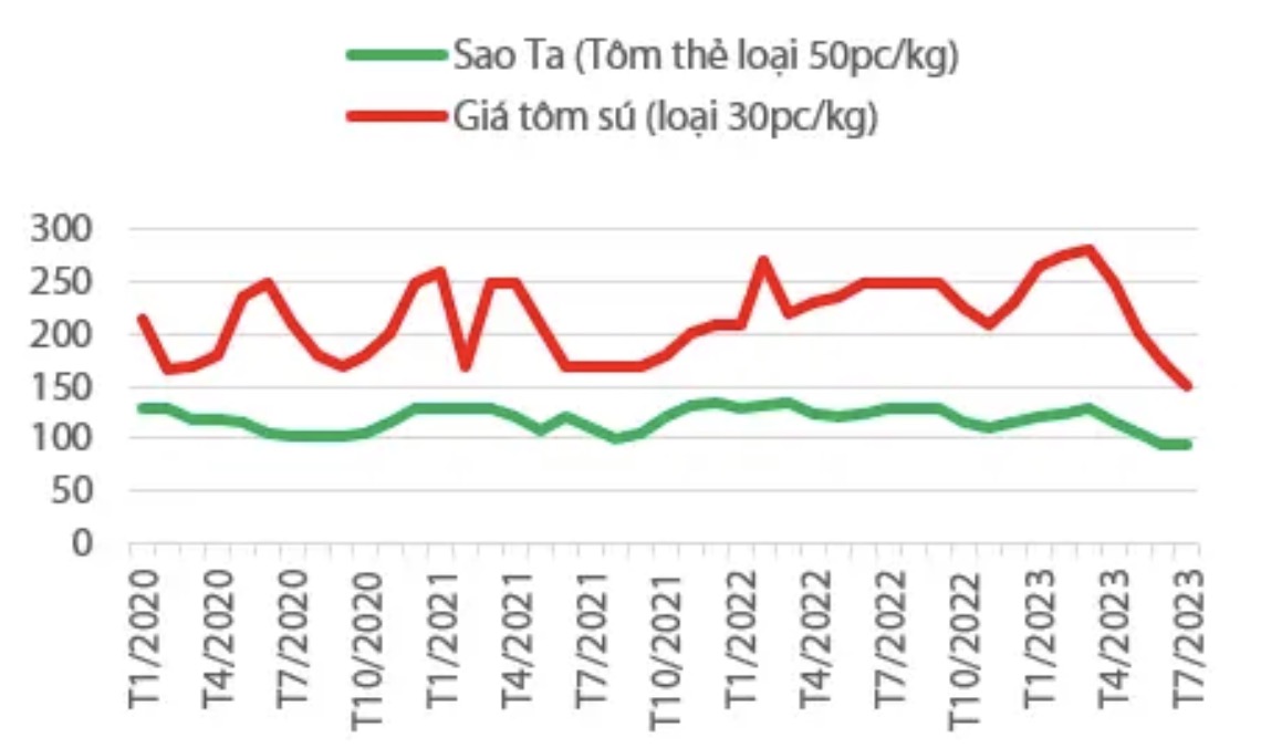 Nhu cầu tôm cải thiện, doanh thu quý 4 của Thực phẩm Sao Ta FMC dự báo tăng 15% 2
