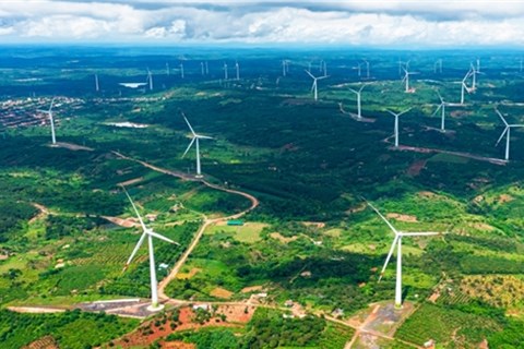 Trung Nam bắt tay công ty Trung Quốc xây dựng cụm điện gió 916 MW