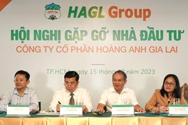 Hoàng Anh Gia Lai (HAG) bán 99% vốn tại Bệnh viện Hoàng Anh Gia Lai để trả nợ trái phiếu