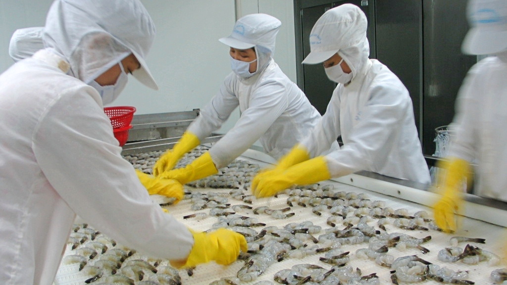 Thực phẩm Sao Ta FMC : Xuất khẩu tôm có thể gặp khó ít nhất 6 tháng nữa