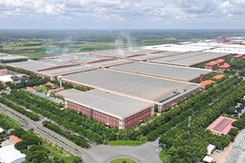 Cao su Việt Nam (GVR) sẽ chi hàng nghìn tỷ đồng cho mảng khu công nghiệp năm nay