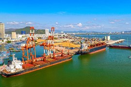 Ngay trước ngày chào sàn HoSE, Cảng Quy Nhơn (QNP) báo lãi năm 2023 tăng 154%