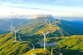 Công ty Lizen (LCG): Lượng backlog ước hơn 6.000 tỷ đồng, sẽ đẩy mạnh mảng điện gió trong năm nay