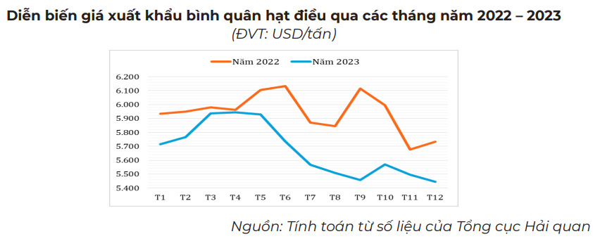 Xuất khẩu hạt điều của Việt Nam có nhiều dư địa tăng trưởng trong năm 2024 2