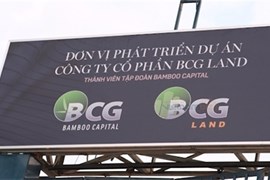 Bamboo Capital có 2 phó chủ tịch điều hành hội đồng quản trị