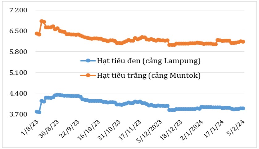 Xuất khẩu hạt tiêu tăng mạnh ngay tháng đầu năm 2