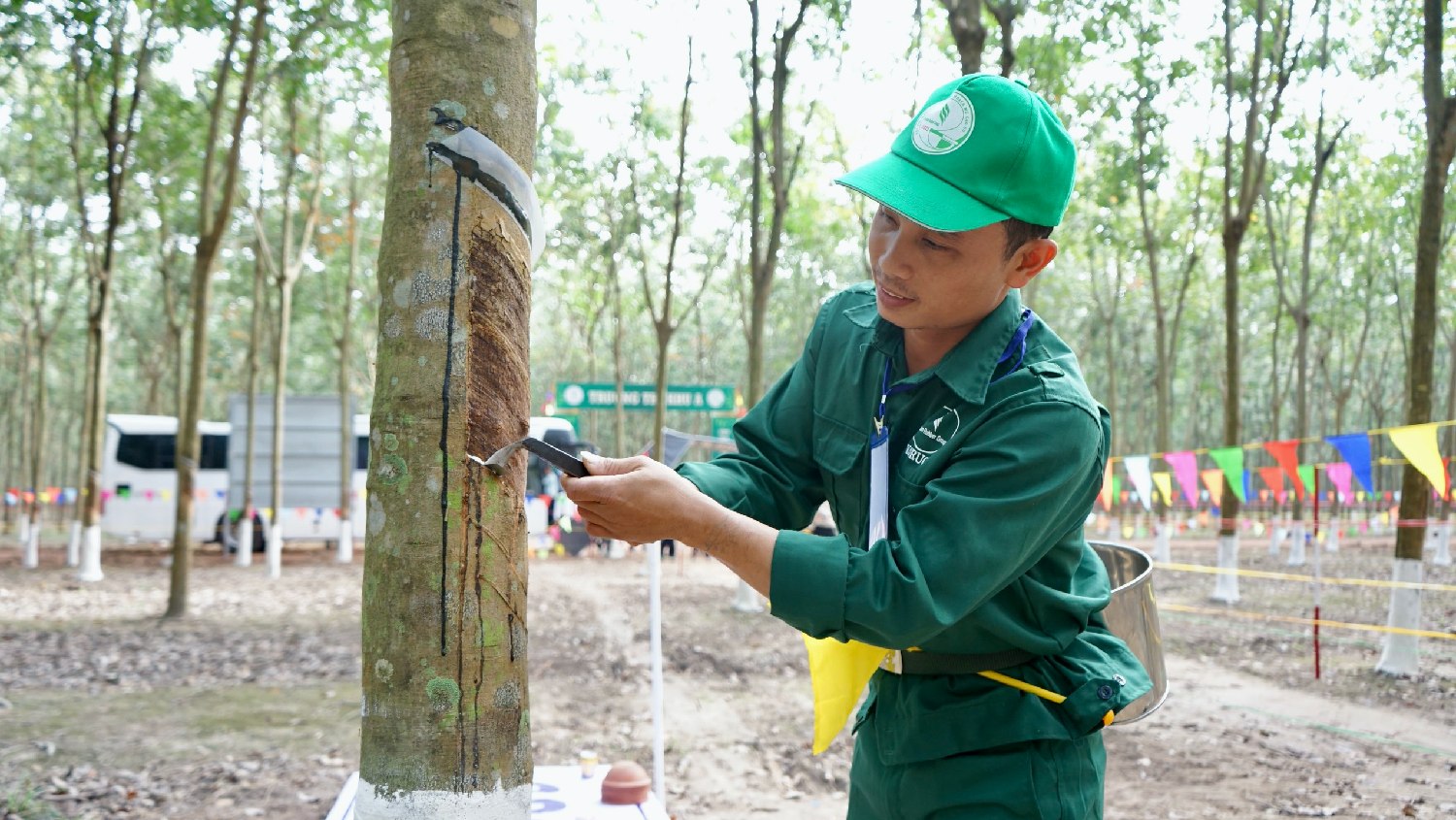 Cao su Việt Nam GVR : Sắp họp bất thường, CMSC lên kế hoạch thoái vốn Nhà nước