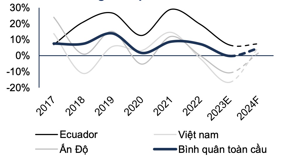 Nguồn cung toàn cầu suy giảm, xuất khẩu tôm Việt Nam có thể tăng 15% năm nay 2
