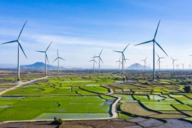 Vừa bắt tay với 'đại gia' Trung Quốc, Tài chính Điện lực (EVF) đặt mục tiêu lợi nhuận năm nay tăng 43%