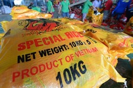 Thêm cơ hội lớn cho xuất khẩu gạo