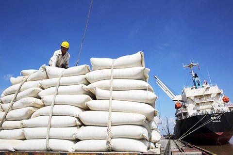 Gạo Việt Nam sẽ tiếp tục giữ vững vị thế tại các thị trường xuất khẩu chủ lực