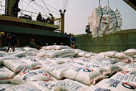 Việt Nam vượt Thái Lan, trở thành đối tác cung ứng gạo lớn thứ 2 cho Đài Loan (Trung Quốc)