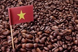 Thị phần cà phê của Việt Nam tại EU tăng khá