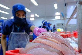 Thuỷ sản Nam Việt (ANV): Đã khép kín chuỗi giá trị cá tra, tham vọng lãi năm nay tăng gấp 8 lần
