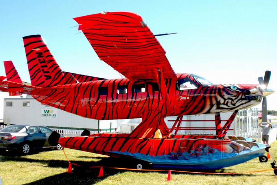 Tổng hợp 10 chiếc máy bay màu sơn độc lạ nhất thế giới 11