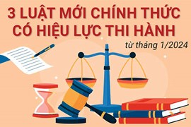 3 Luật mới chính thức có hiệu lực thi hành từ tháng 1/2024