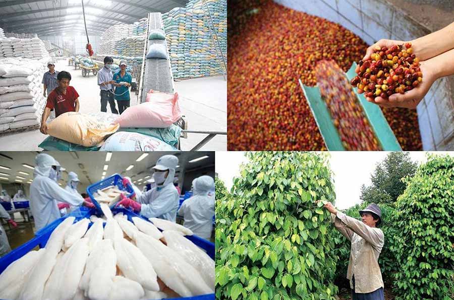 Chi phí logistics nông sản quá cao, Việt Nam cần làm gì? 2