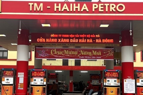 Hải Hà Petro chây ì, chưa nộp hơn 600 tỷ đồng vào ngân sách