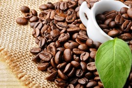 2 tháng đầu năm, lượng cà phê xuất khẩu của Việt Nam đạt kỷ lục xấp xỉ 400.000 tấn