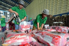 Xuất khẩu gạo 2024 dự kiến đạt 7,6 triệu tấn