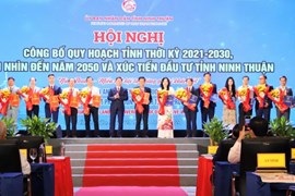 Ninh Thuận: Công bố quy hoạch và xúc tiến đầu tư tỉnh Ninh Thuận