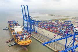 Container Việt Nam (VSC) lên kế hoạch đầu tư cảng nước sâu tại Hải Phòng, Đà Nẵng, Vũng Tàu