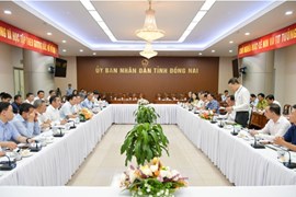 VINACHEM kiến nghị với tỉnh Đồng Nai về việc di dời các nhà máy, xí nghiệp tại Khu Công nghiệp Biên Hòa I