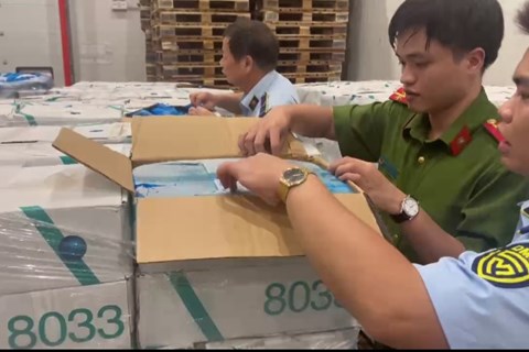 Quản lý thị trường Hà Nội: Thu giữ gần 12 tấn thực phẩm đông lạnh nhập lậu