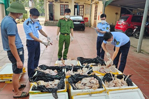 Thái Nguyên: Tiêu hủy gần 200kg thịt gà không đảm bảo an toàn thực phẩm