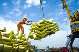 Xuất khẩu gạo Việt Nam bứt phá, Bộ Công Thương tính toán kế hoạch đảm bảo mục tiêu kép