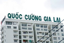 Bóng dáng Quốc Cường Gia Lai trong vụ Tập đoàn Công nghiệp Cao su Việt Nam