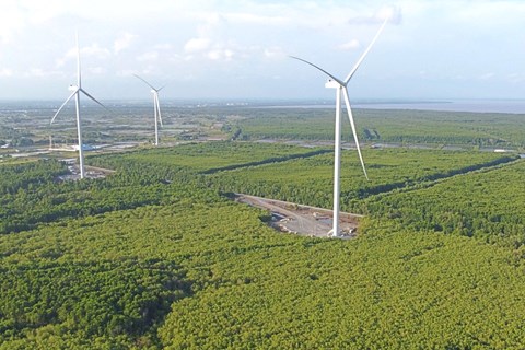 Công ty FECON (FCN) tìm đối tác ngoại cho “siêu” dự án điện gió quy mô 1,2 tỷ USD
