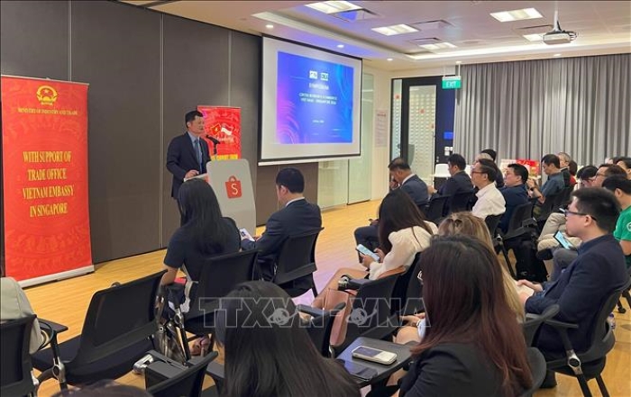 Hội nghị xúc tiến Thương mại điện tử và Thanh toán điện tử xuyên biên giới Việt Nam - Singapore 2024
