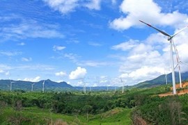Bốn dự án điện gió gặp khó ở Quảng Trị
