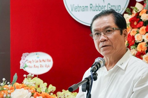 Cao su Việt Nam (VRG): Sẽ niêm yết sản phẩm cao su trên sàn giao dịch hàng hoá từ quý 4