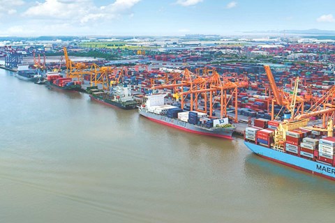Container Việt Nam (VSC): Cảng Nam Hải Đình Vũ đã tạo ra lợi nhuận, dồn lực gia tăng tỷ lệ sở hữu